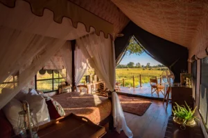 Hidden Africa Safari Co. Announces Exclusive 2026 Secret Safari Adventure for Discerning Travelers
